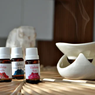 Combo 6 aceites aromáticos Vishnu 10 ml con aromas surtidos